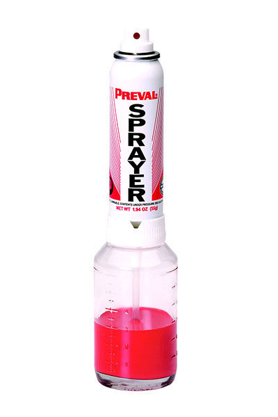 Preval Complete Sprayer System